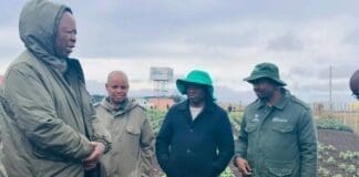 Bizana students take root in sustainable agriculture education