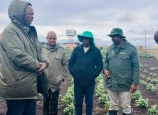 Bizana students take root in sustainable agriculture education