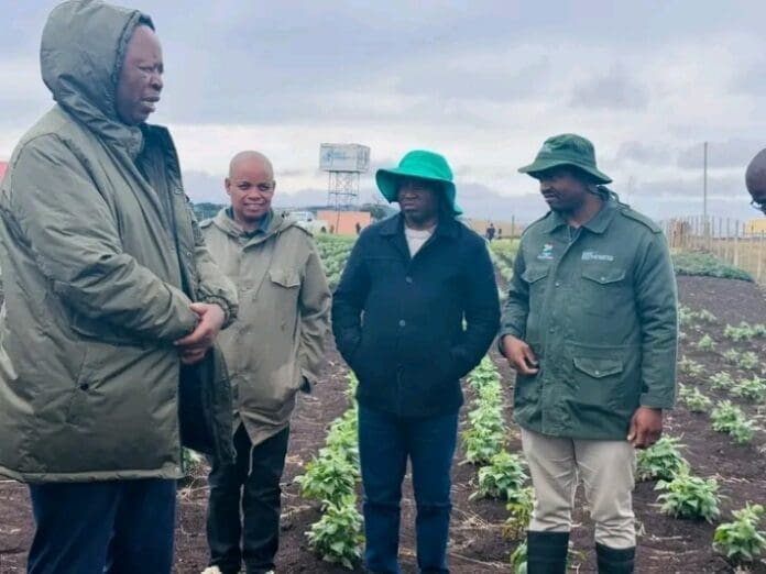 Bizana students take root in sustainable agriculture education